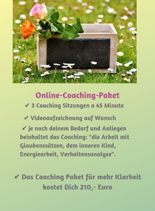 Online-Coaching-Paket 3 Sitzungen Online-Coaching-Paket 3 Sitzungen
