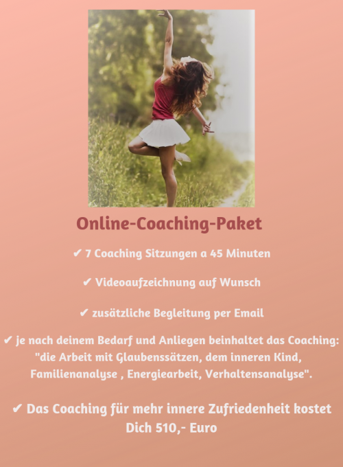 Online-Coaching-Paket 7 Sitzungen Online-Coaching-Paket 7 Sitzungen